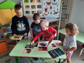 Лето – прекрасная пора для познания окружающего мира! Лето – прекрасная пора для познания окружающего мира! .